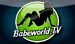 Babeworld milf TV