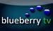 blueberry TV 